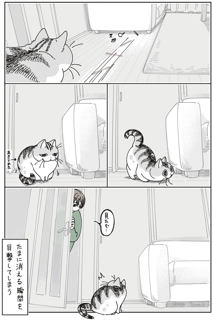 見たぞ…