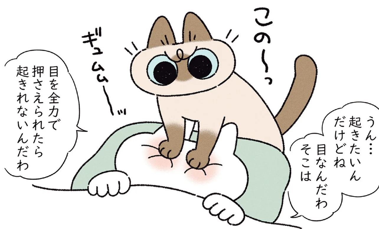 猫ちゃんが飼い主を“連れていく”姿が「尊い」。猛ダッシュで向かった先