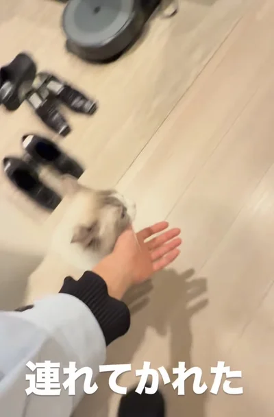 お構いなし▶辿り着いたのは…（⇒次へ）