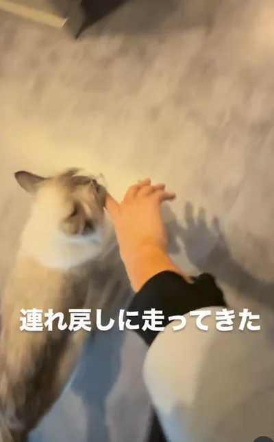 連れ戻しにきた▶今度は人差し指をくわえ…（⇒次へ）