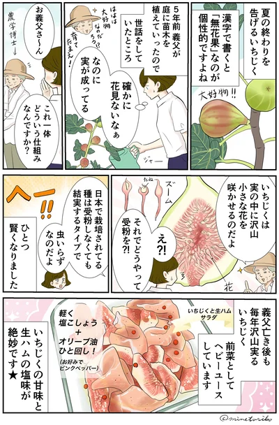 いちじくの甘味と生ハムの塩味が絶妙