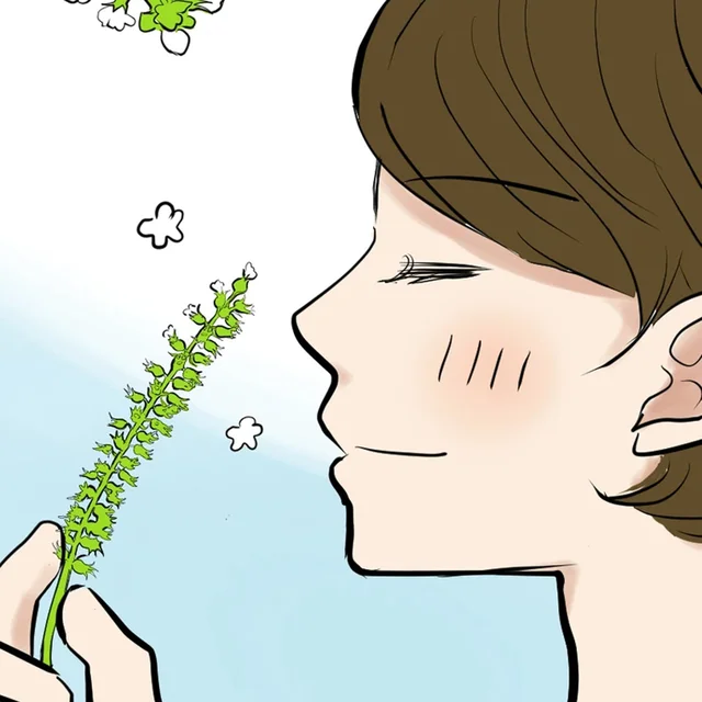 庭で育てている青しそ、実は秋からが本番!? さわやかに香る「しその実の塩漬け」／季節を味わう､夫婦の台所