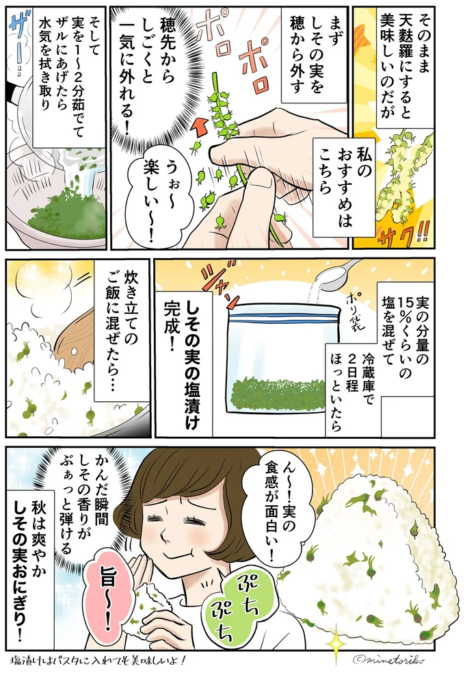 秋は爽やかしその実おにぎり！