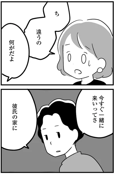 『恋するママ友たち 私以外も不倫してた』
