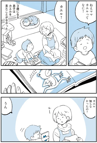 カエル？