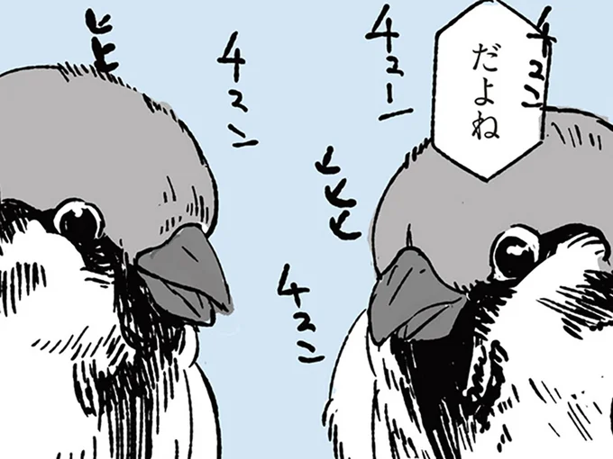 スズメの会話