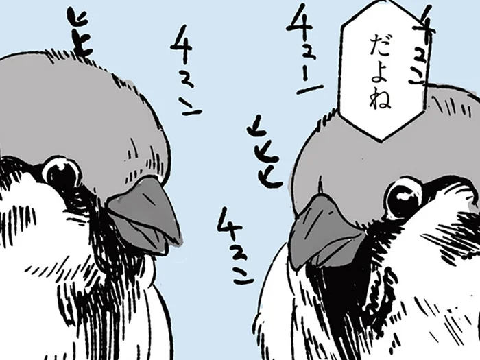 免許証が見つからない！ 半ば諦めかけていた女性の耳に届いた「スズメの会話」