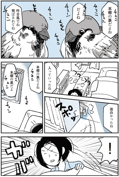 面白かったね