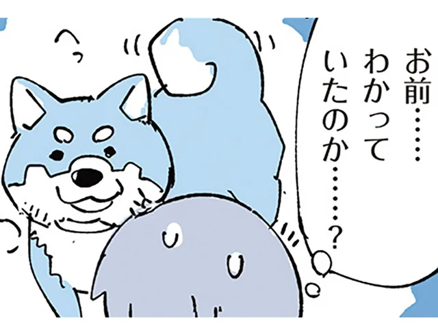 動物と人間の不思議な縁。愛犬が助けてくたのかもしれない出来事