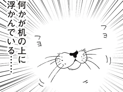 猫の口だ！