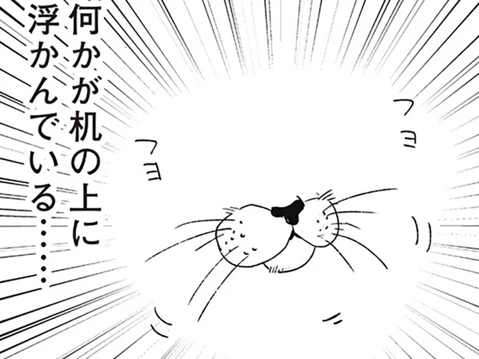 「猫の口だ！」リビングへ行くと浮かんでいたものがあまりに謎すぎた
