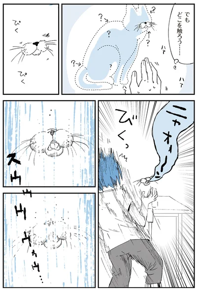 でもどこを触ろう…