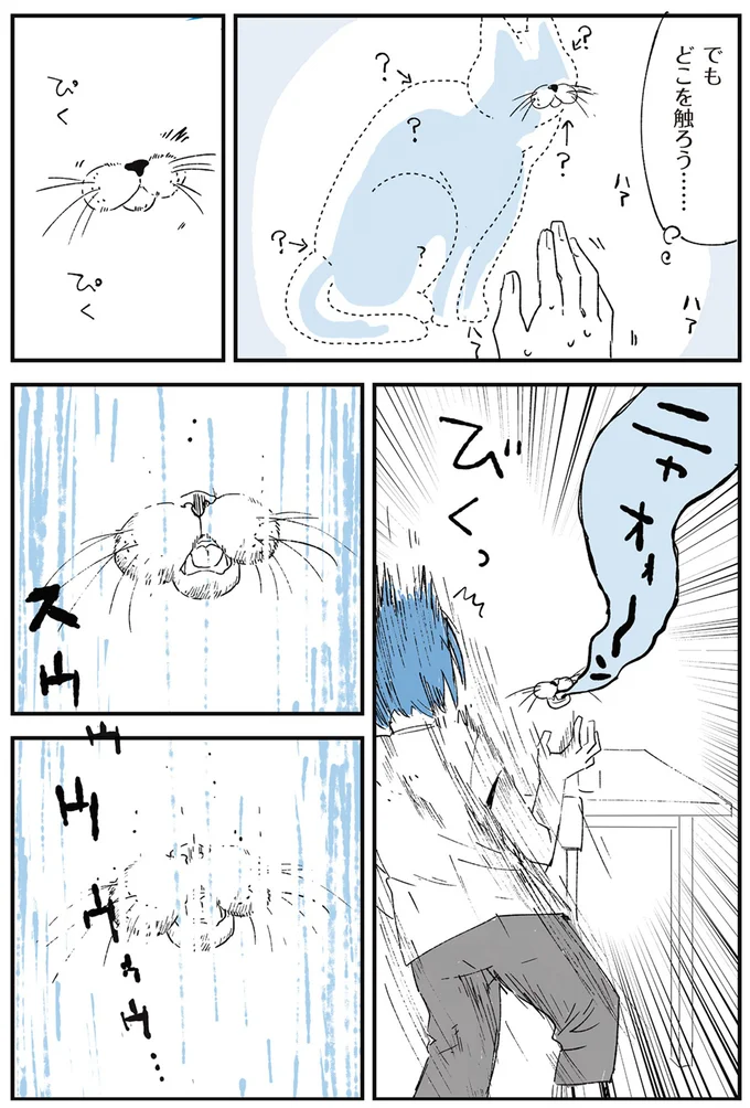でもどこを触ろう…