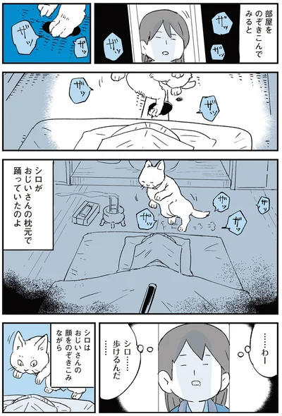 歩けるんだ…
