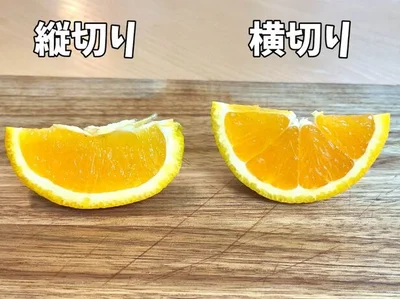 縦切りと横切りを比較してみても一目瞭然（▶次へ）