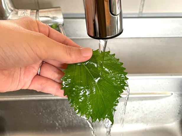 まずは大葉をやさしく水で洗います(▶次へ)