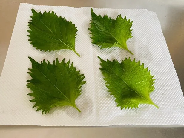 キッチンペーパーの上に乗せて…(▶次へ)