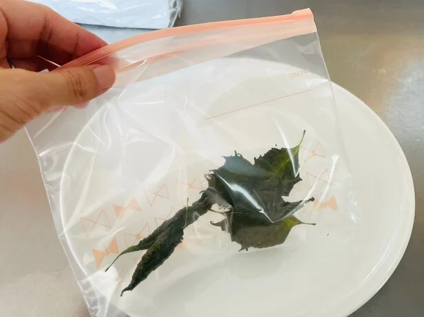 そのままビニール袋に入れて(▶次へ)