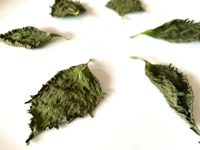 大葉をパリパリにすると大量消費＆長期保存できる！その方法は…（▶次へ）