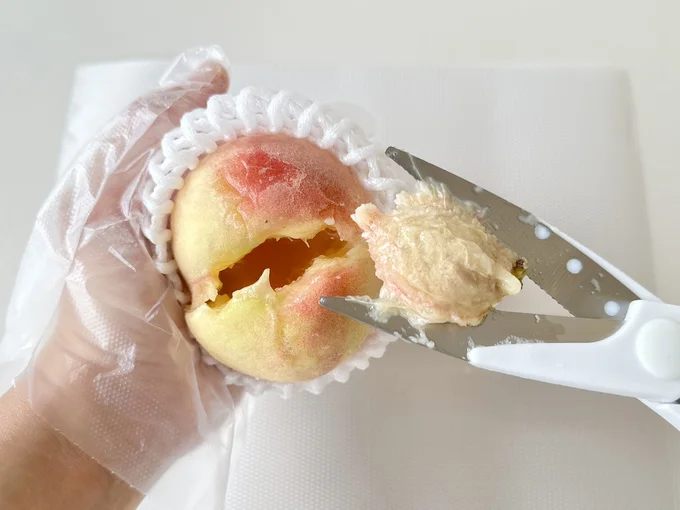 種がスポッと出てきました!(▶断面もチェック)