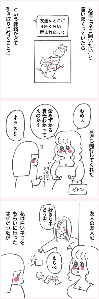 『うちらはマブダチ』より