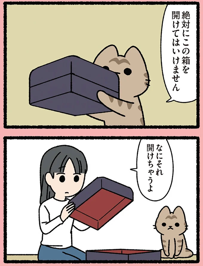 開けちゃうよ