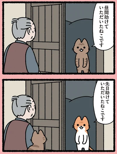 『みっけ！ねこむかしばなし』より