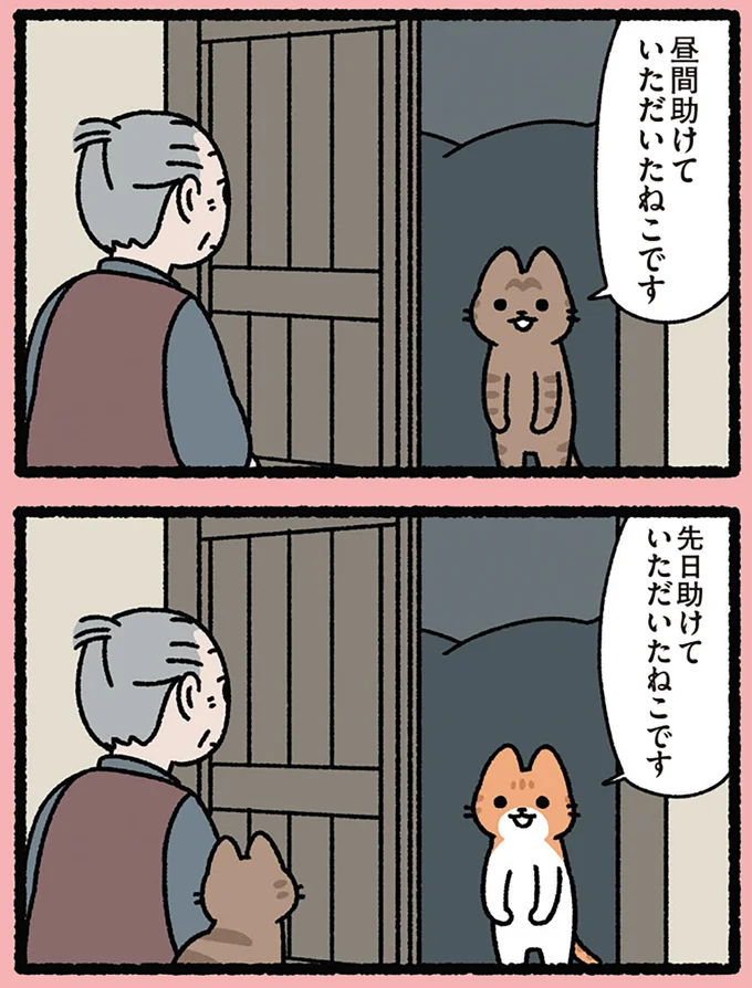 『みっけ！ねこむかしばなし』より