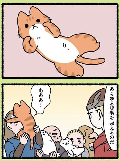 『みっけ！ねこむかしばなし』より