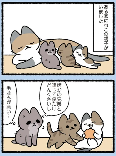 『みっけ！ねこむかしばなし』より