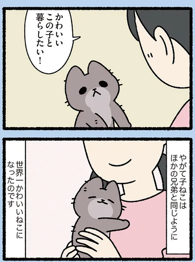 『みっけ！ねこむかしばなし』より