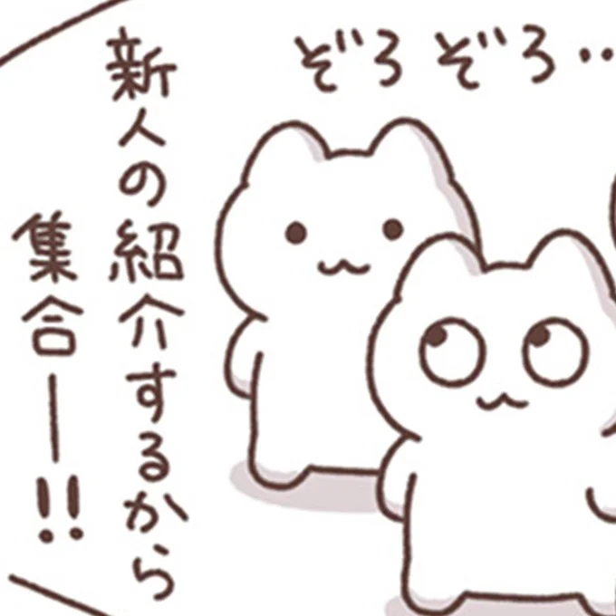 新人の紹介するから集合ー！！