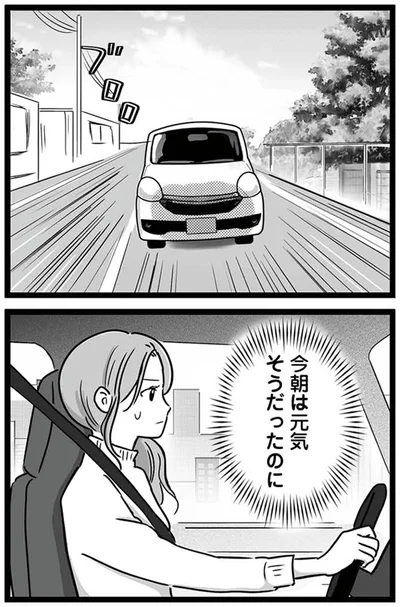 今朝は元気そうだったのに