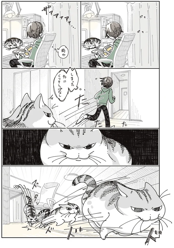 雨か…