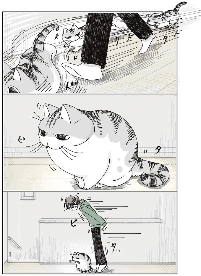 ピタッ
