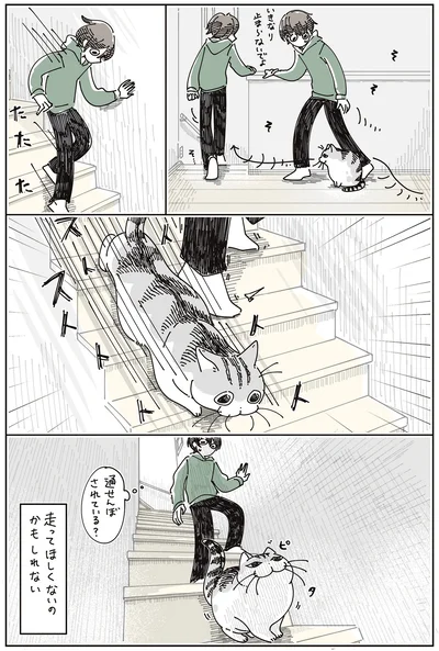 通せんぼされている？