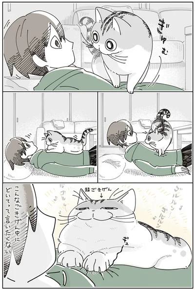 『夜は猫といっしょ8』より