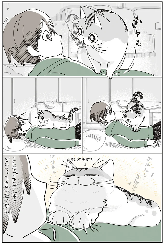『夜は猫といっしょ8』より