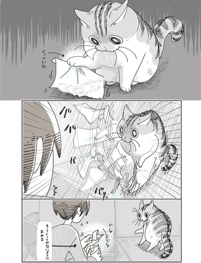 『夜は猫といっしょ8』より