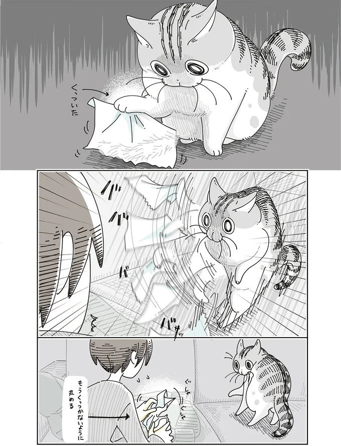 『夜は猫といっしょ8』より