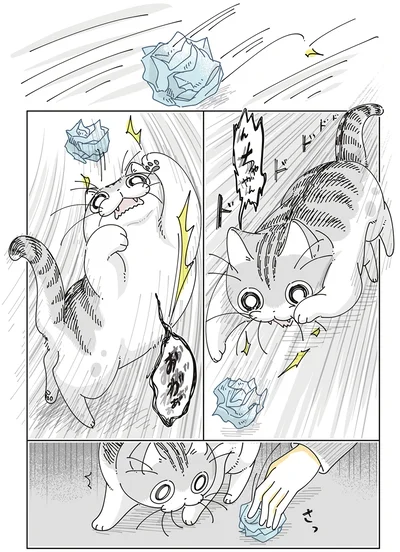 『夜は猫といっしょ8』より