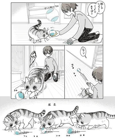 『夜は猫といっしょ8』より
