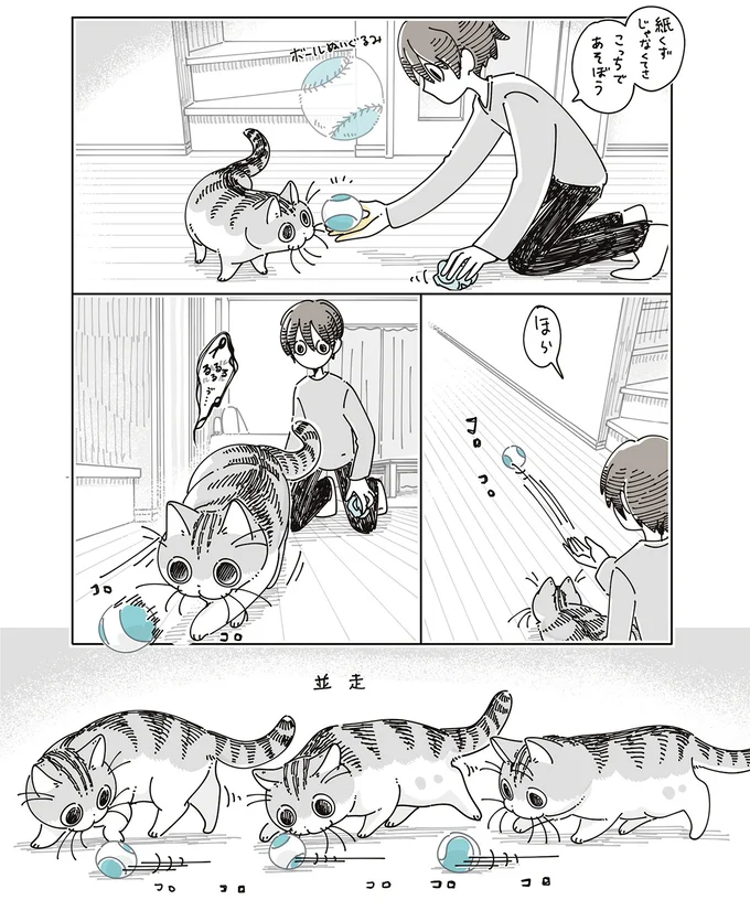 『夜は猫といっしょ8』より