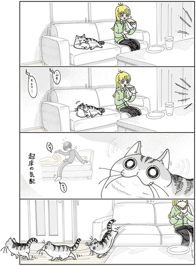 『夜は猫といっしょ8』より