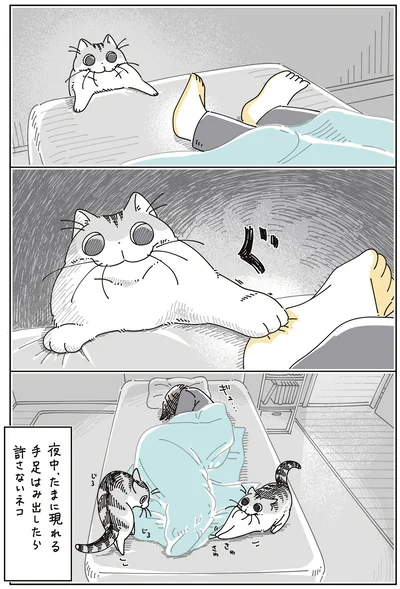 『夜は猫といっしょ8』より
