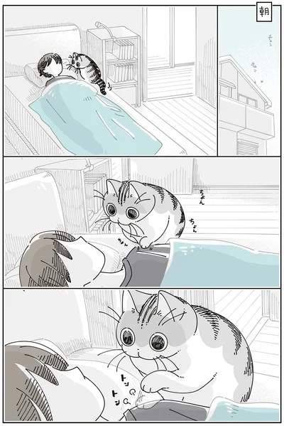 『夜は猫といっしょ8』より