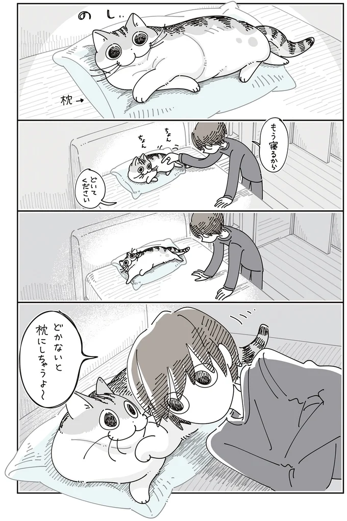 『夜は猫といっしょ8』より