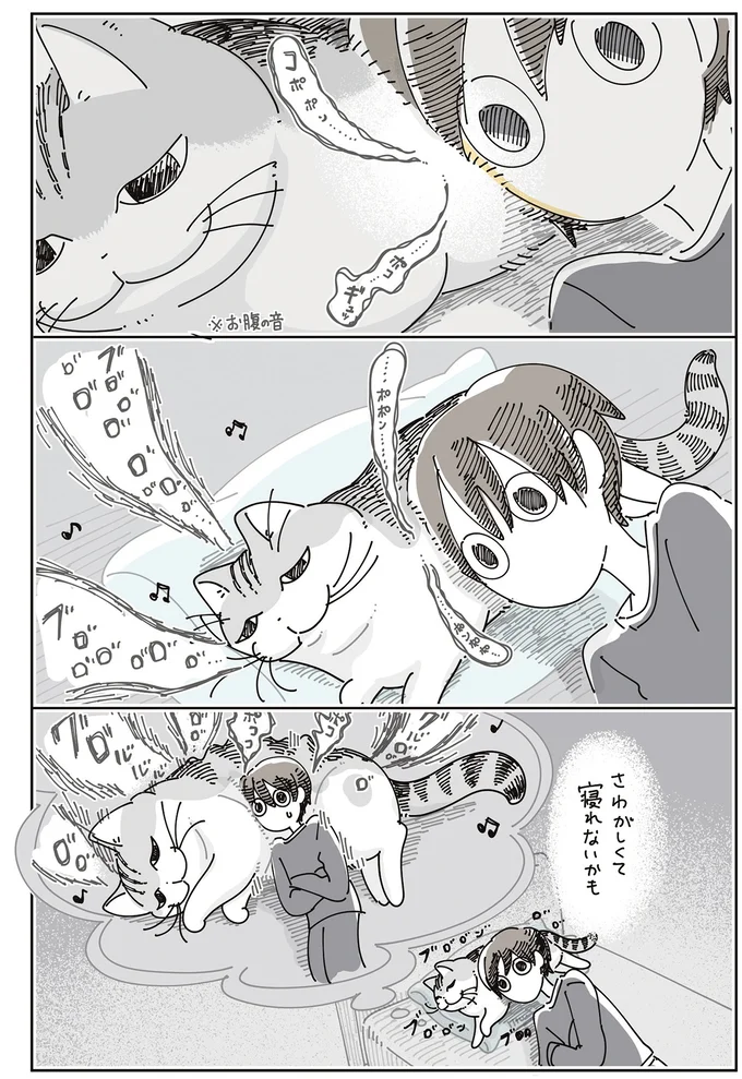 『夜は猫といっしょ8』より