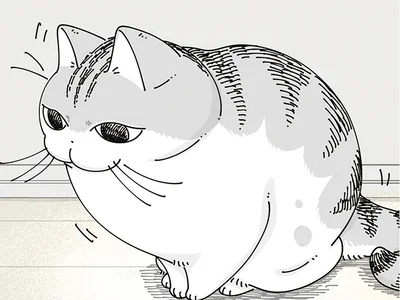 足元に走ってきて「ピタッ」！