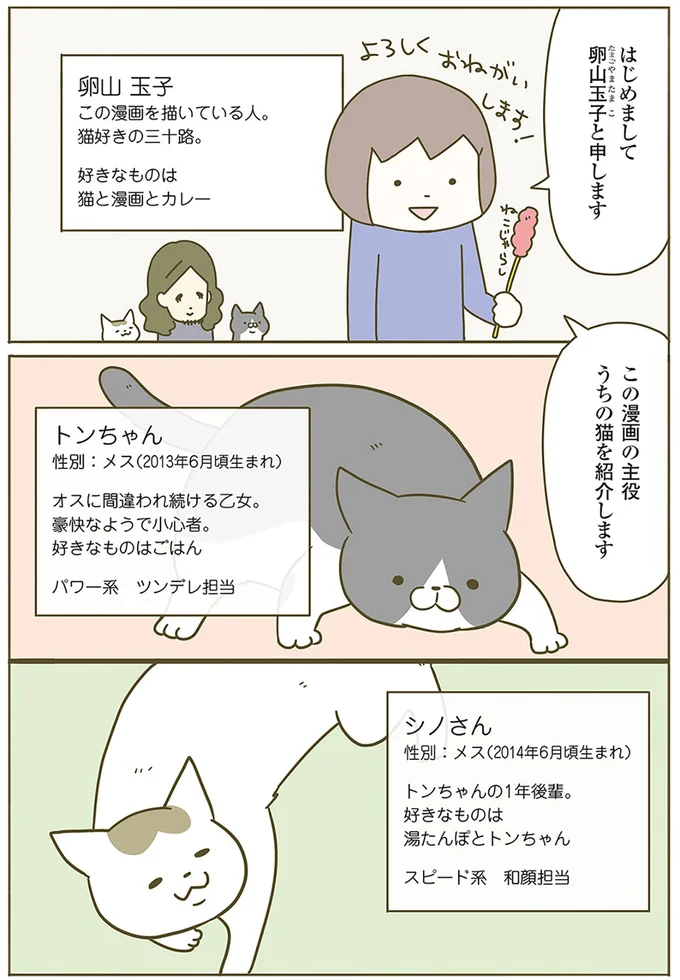 うちの猫